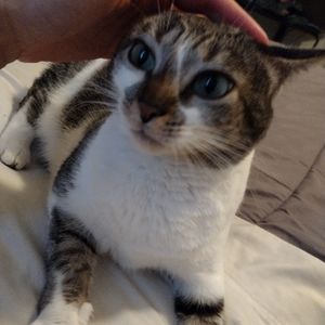 Meet your Posher, Lola